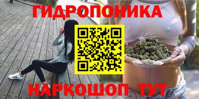 амф Волгодонск