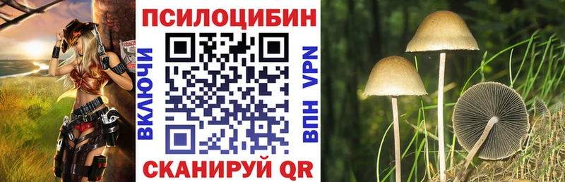 мега зеркало  Гагарин  Галлюциногенные грибы Cubensis  хочу  