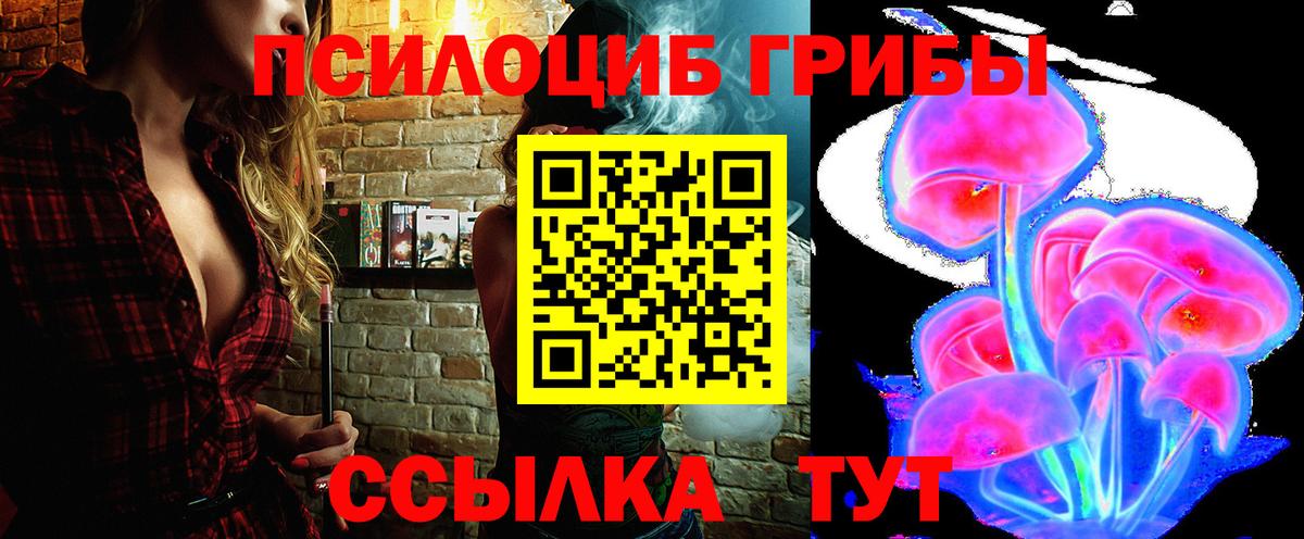 Гагарин  Псилоцибиновые грибы Psilocybe  как найти закладки  Псилоцибиновые грибы Magic Shrooms  Вход с VPN 