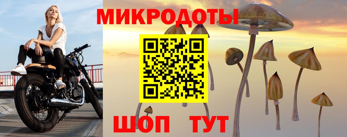 Псилоцибиновые грибы прущие грибы Гагарин